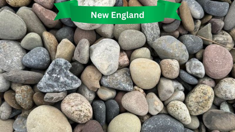 Rocks