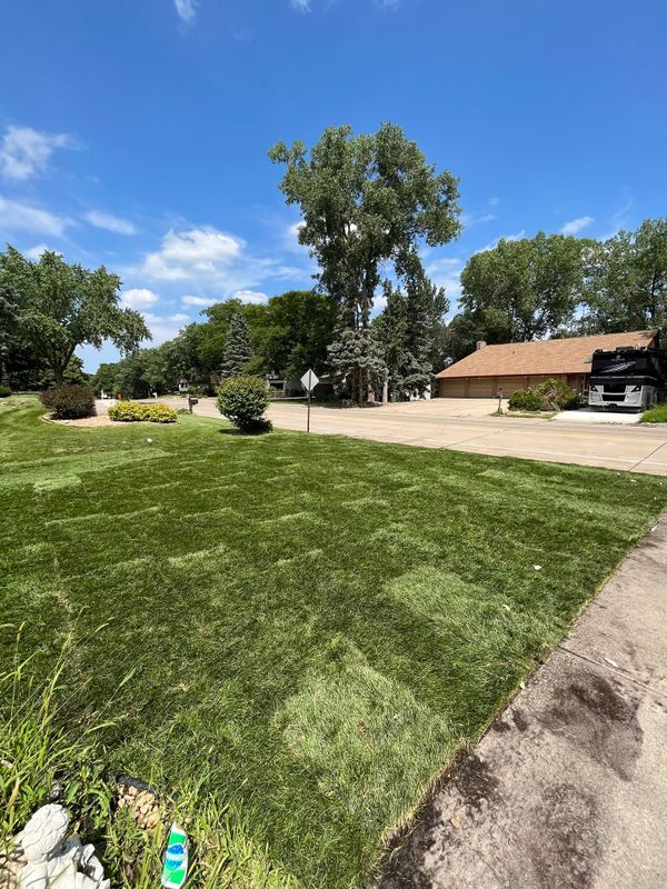 Lawn Mowing