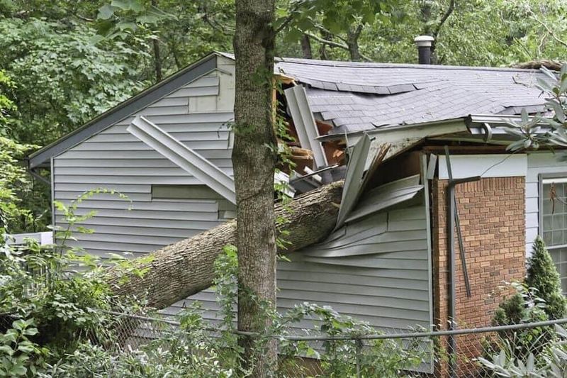 Storm Clean-Ups