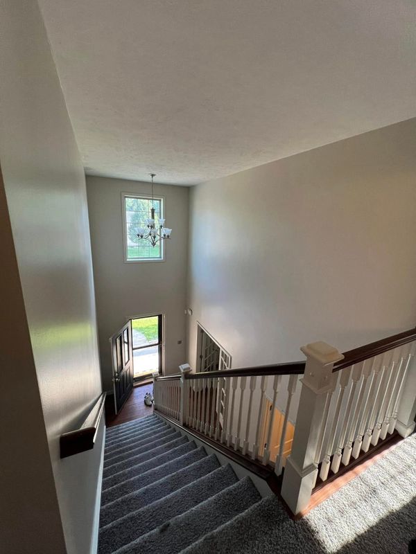 Painting Services