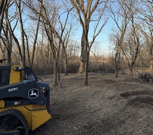 Tree Removal