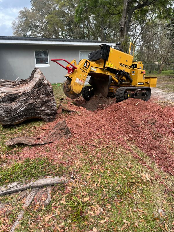 Light Demolition & Site Prep