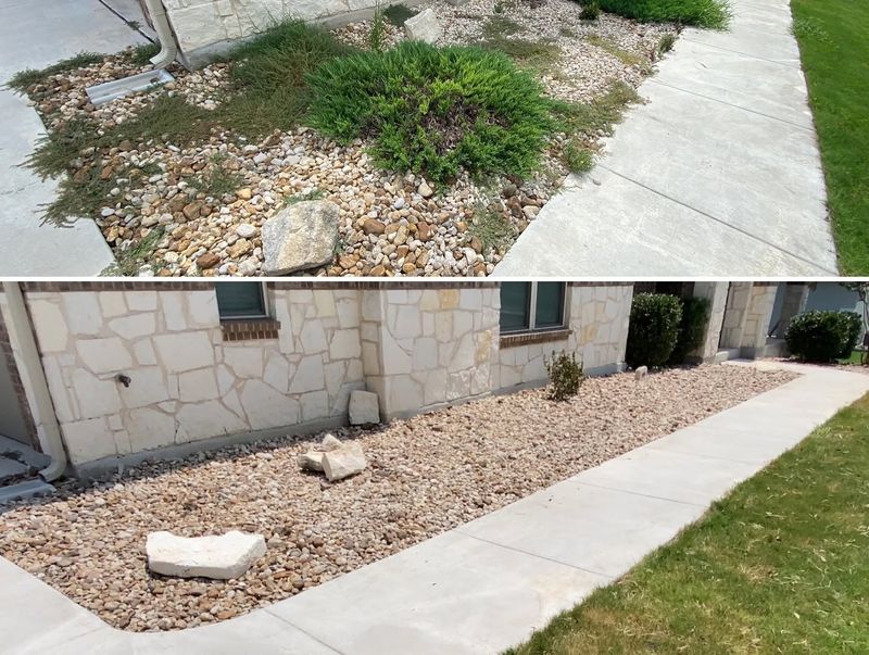 Garden Maintenance