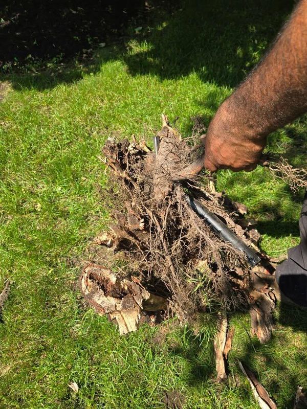 Experienced Irrigation System Repair