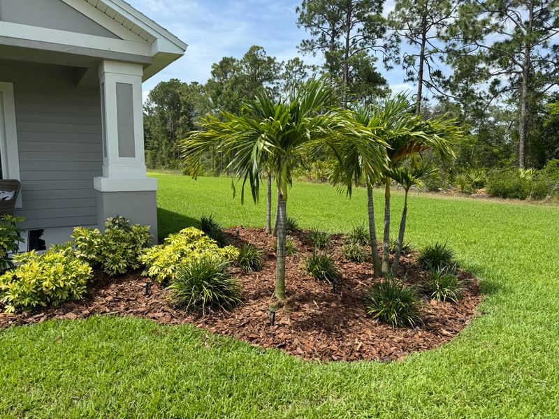 Mulch/Rock Installation