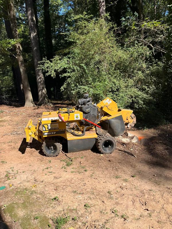 Stump Grinding and Removal