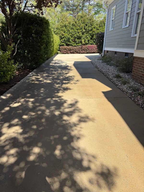 Driveway Cleaning