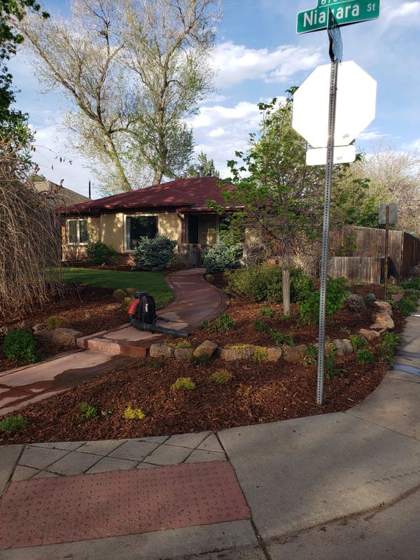Mulch Installation