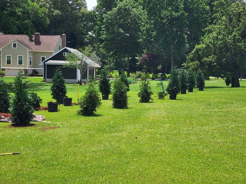Lawn Care
