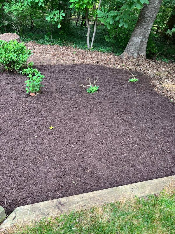 Landscaping