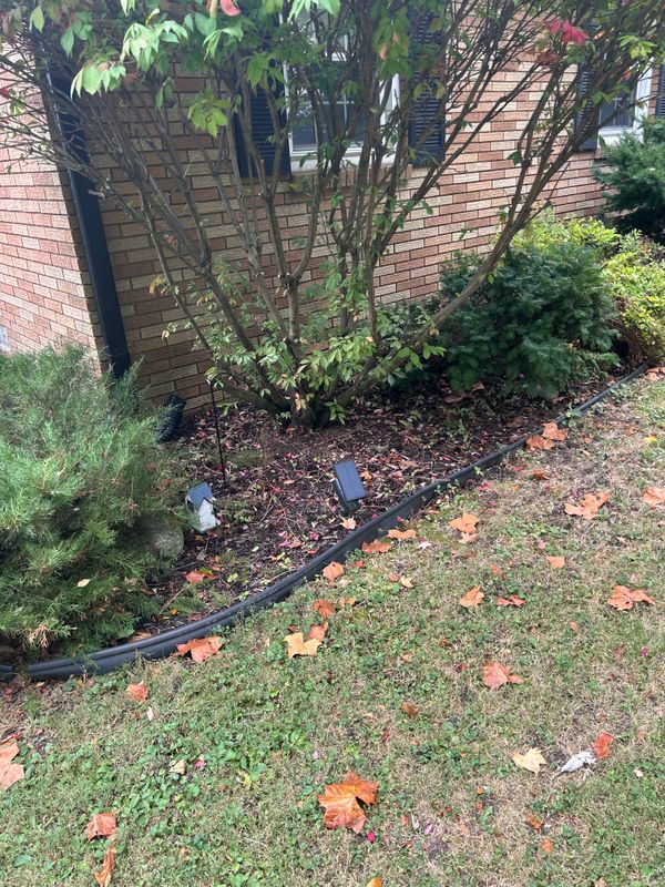 Tree & Shrub Care
