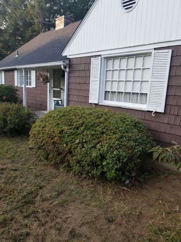 Hedge/Tree/Brush Cutting