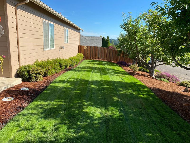 Lawn Maintenance