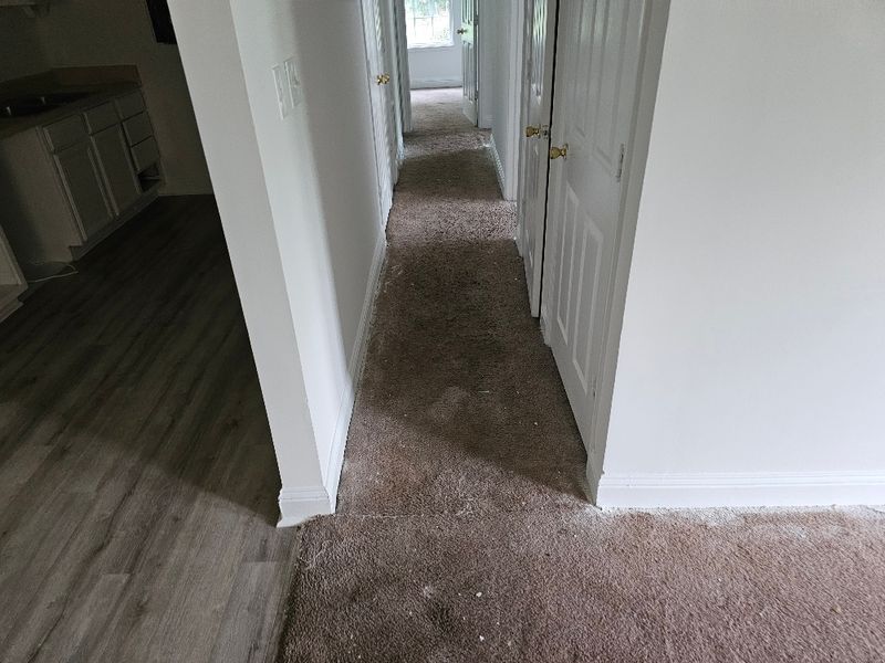 Carpet Cleaning