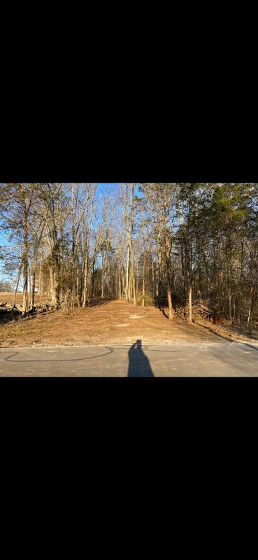 Land Clearing & Bushogging