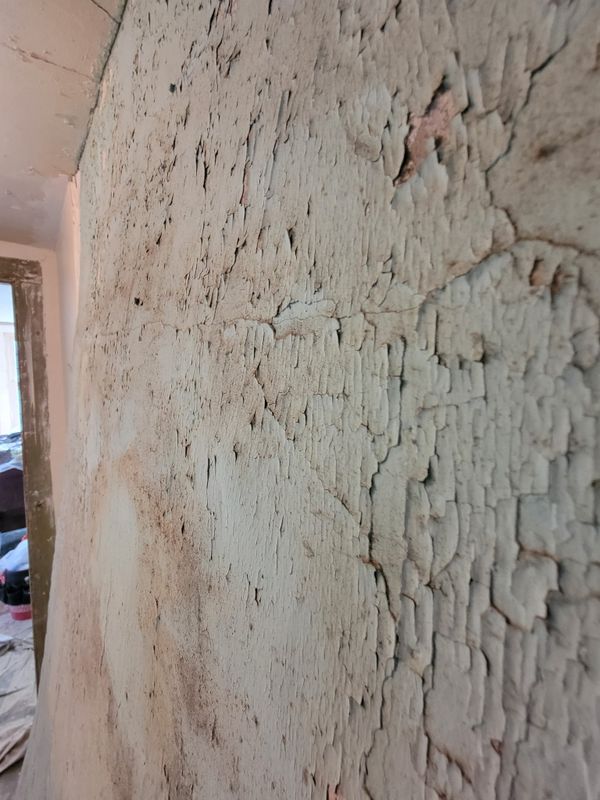 Interior Painting Projects