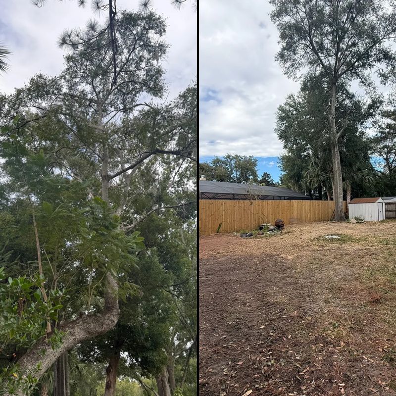 Land Clearing