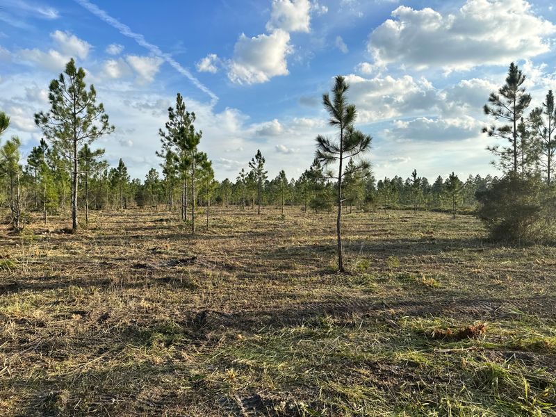 Site Preparation