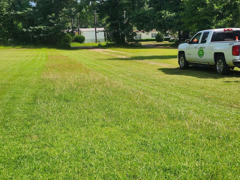 Landscape Design
