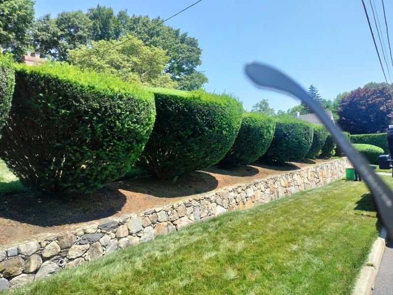 Landscaping gallery