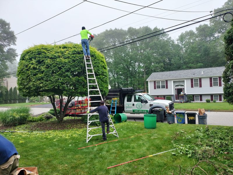 Landscaping