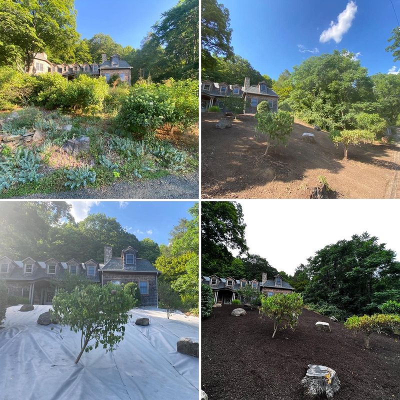 Landscaping