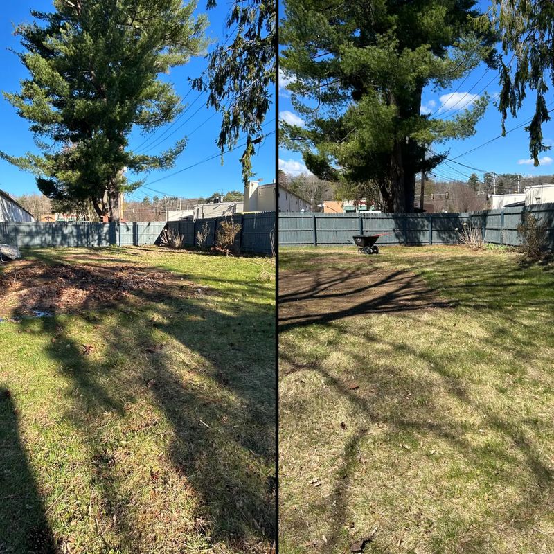 Fall/Spring Cleanups
