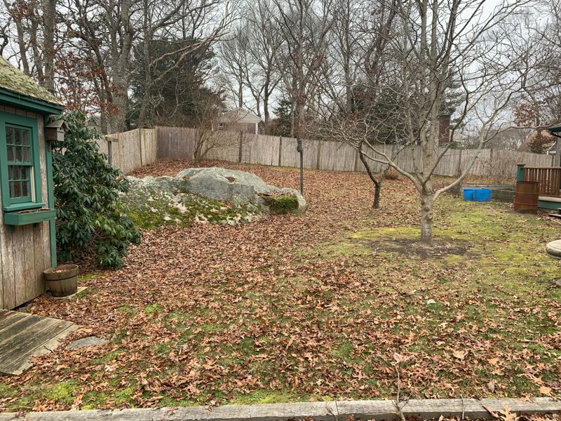 Fall CleanUp