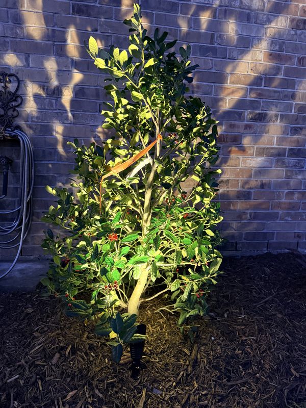 Mulch Installation