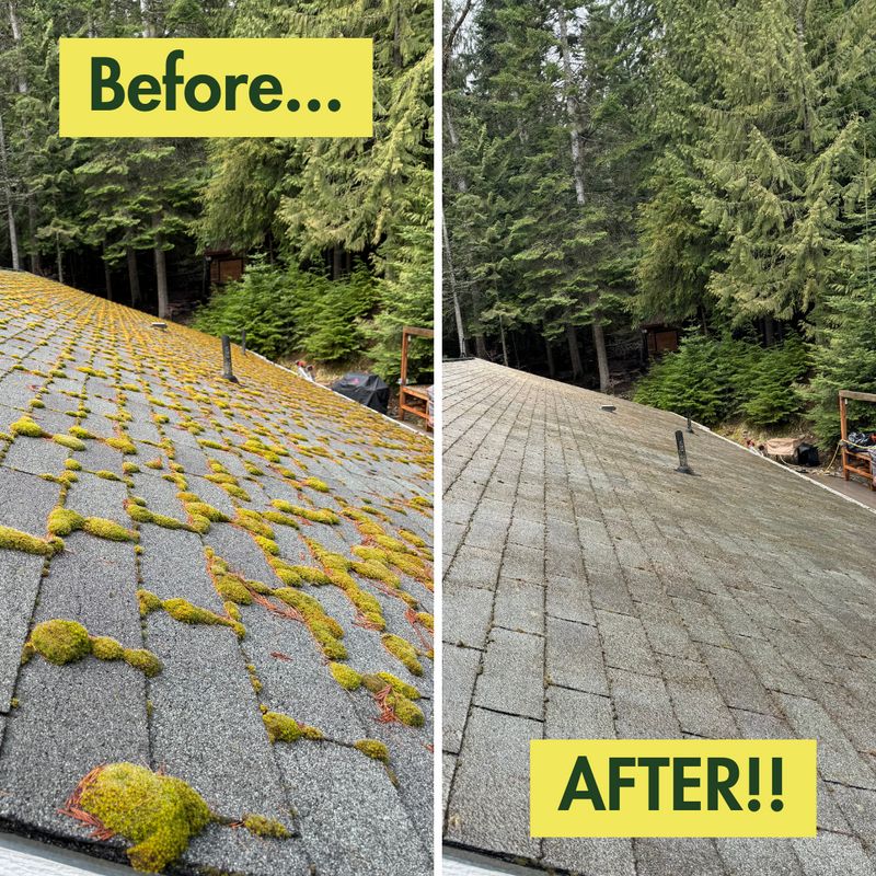 Before & After Photos