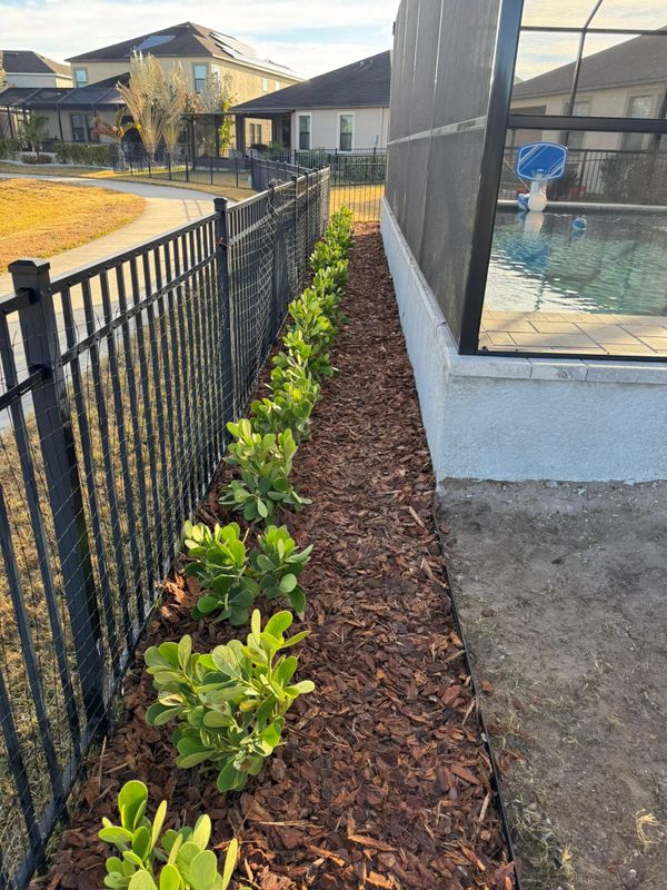 Landscaping