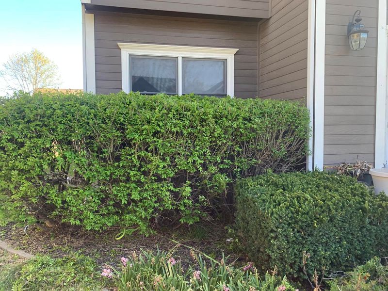 Landscape Maintenance