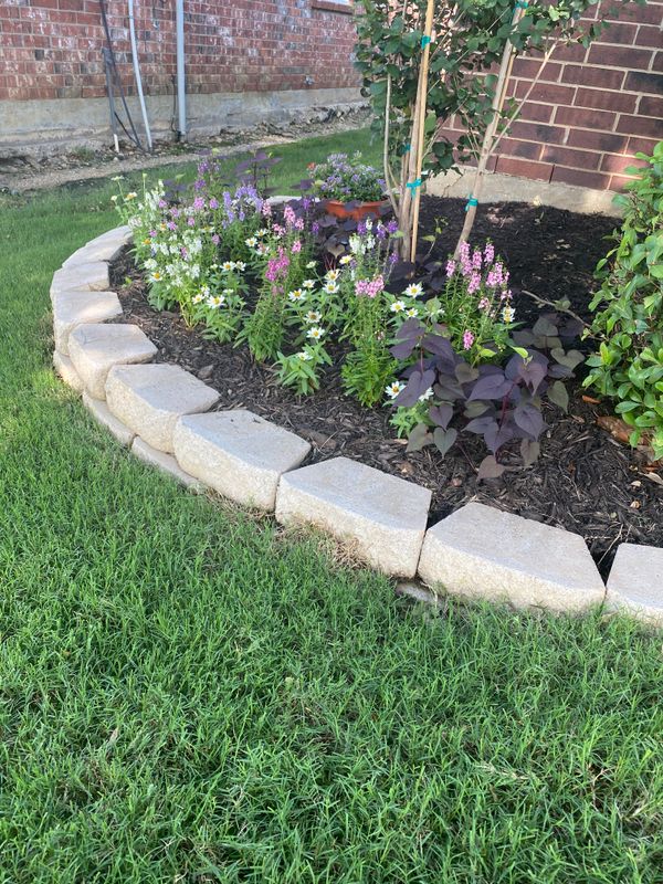 Flower Bed Clean-Up