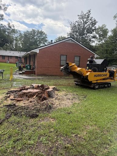 Stump Excavation