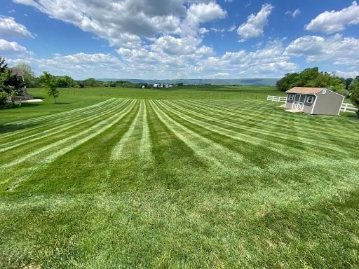 Lawn Mowing