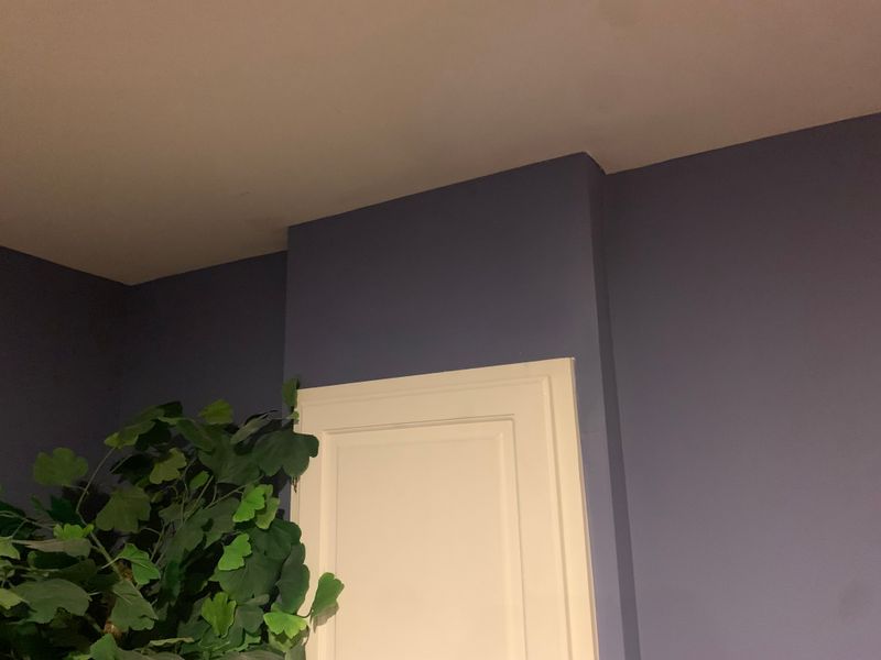 Interior Painting Projects