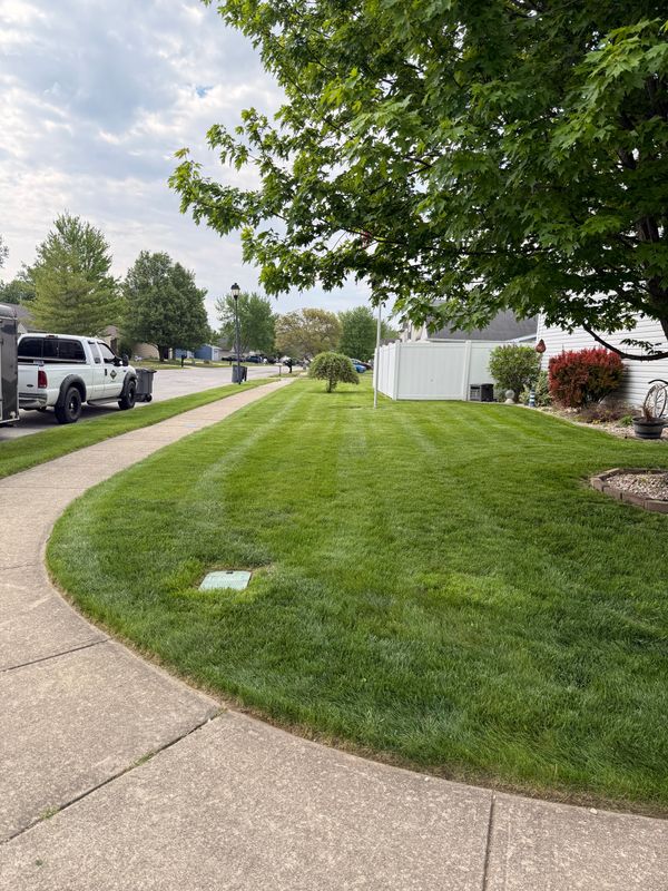 Lawn Care and Maintenance