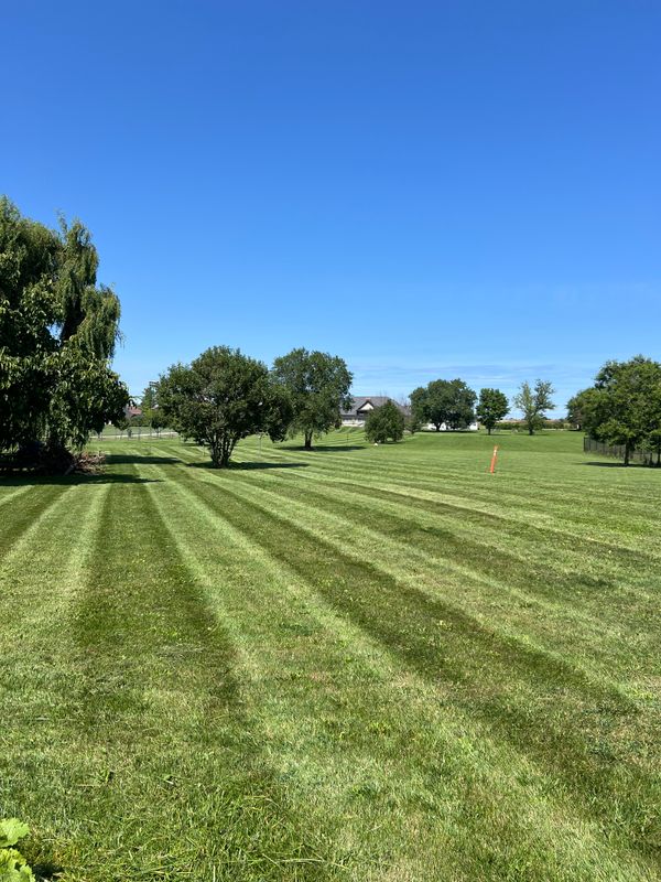 Freshly Cut Perfection: Clover Creek Landscaping's Lawn Transformation in Hamilton
