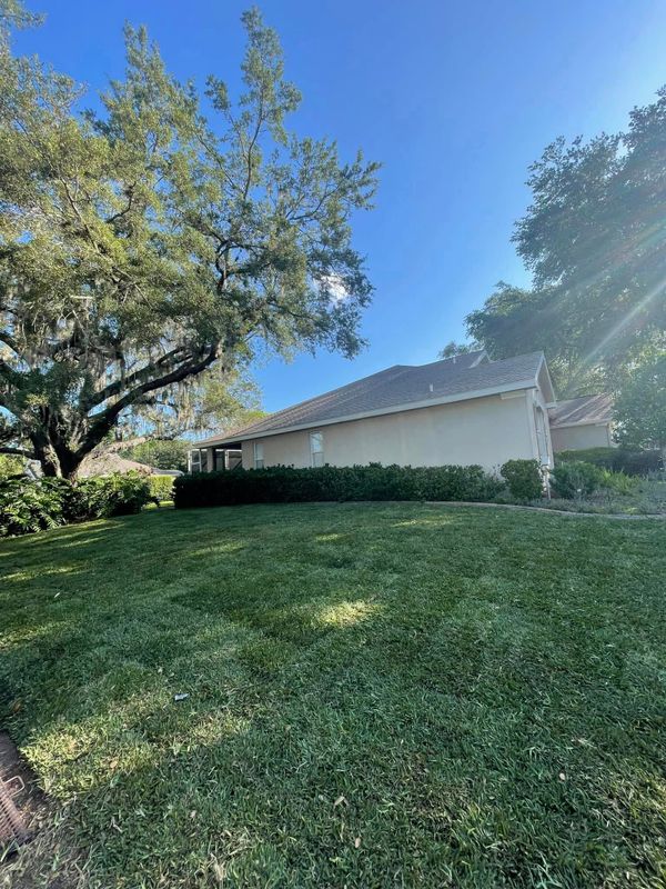 Landscaping Lawn Care