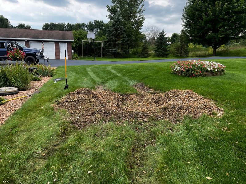 Mulch Installation