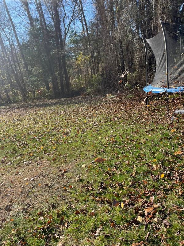 Fall and Spring Clean Up