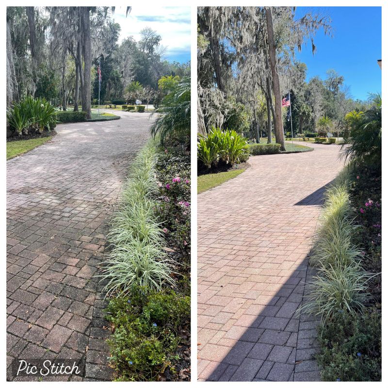 Driveway and Sidewalk Cleaning