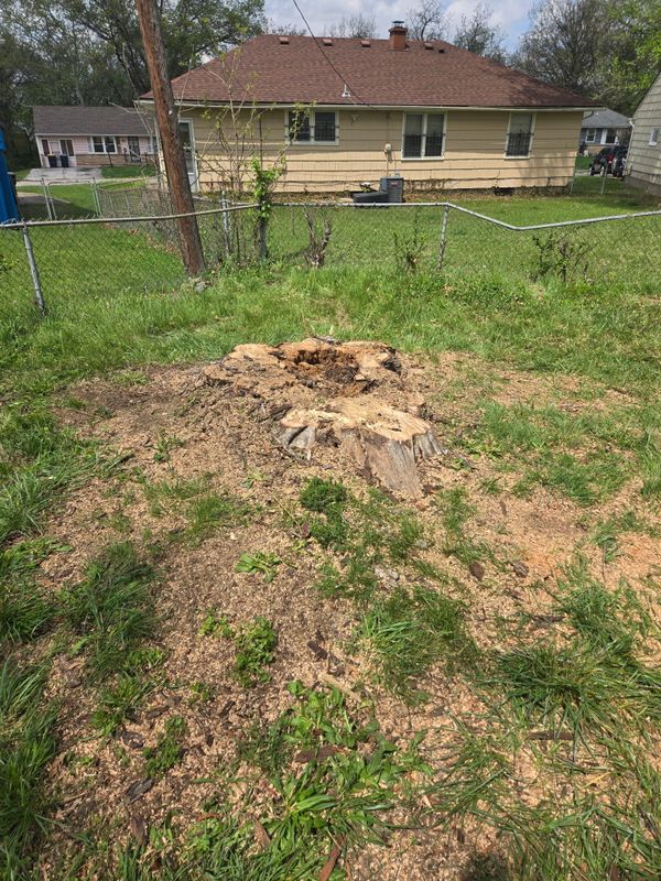 Stump Removal