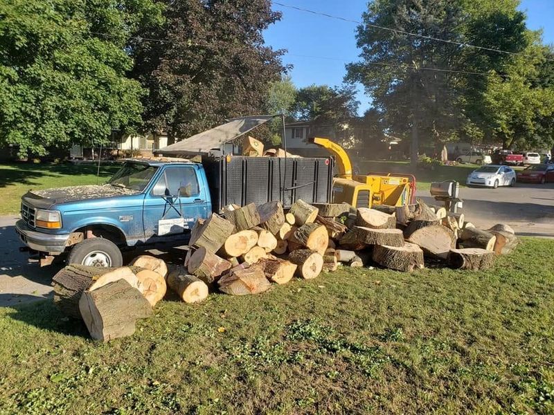 Tree Removal