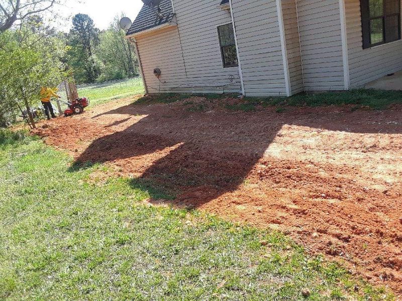 Plant & Shrub Installations