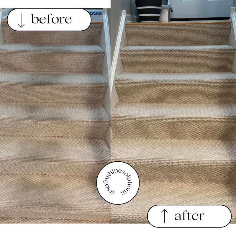 Carpet Cleaning