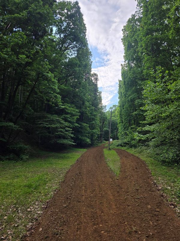 Site Grading