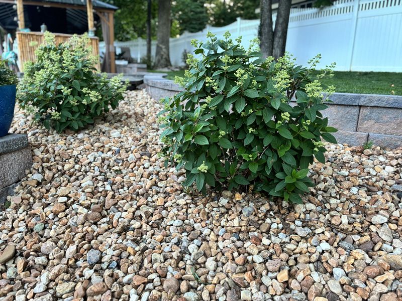 Hardscaping