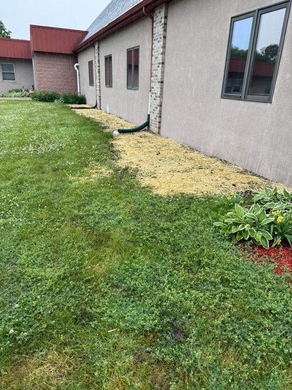 Sod  Installing