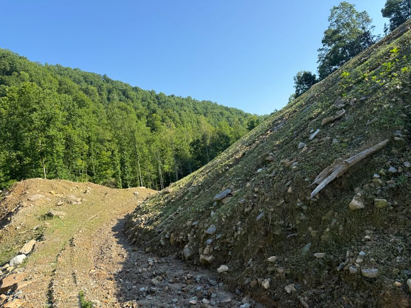 Hydroseeding 